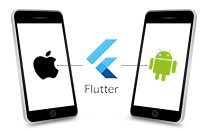 IPhone -Android -Flutter Solutions@0.3x